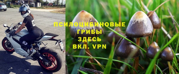 прущие крисы Абаза