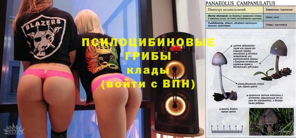 прущие крисы Абаза