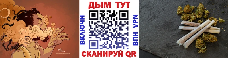 где продают наркотики  Судогда  МАРИХУАНА конопля 